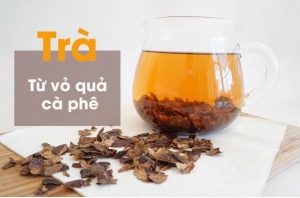 [CÓ THỂ BẠN CHƯA BIẾT] CÀ PHÊ TRÀ LÀ GÌ?