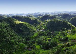 Cà Phê Jamaica Blue Mountain - Cà phê đặc sản cao cấp nhất thế giới