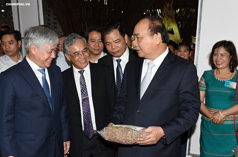 Cà phê sâm ngọc linh 2 nguyễn xuân phúc sâm ngọc linh
