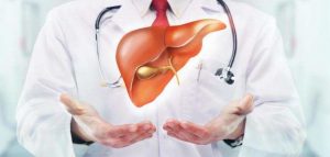 Tác dụng bảo vệ gan của Sâm Ngọc Linh
