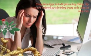 tác dụng của sâm ngọc linh