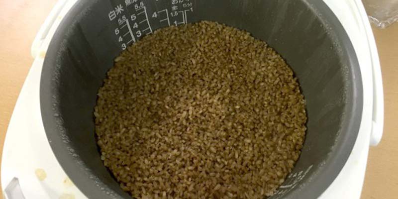 Bấm nút “cook” và ngồi đợi cơm chín. Bấm nút “cook” và ngồi đợi cơm chín.