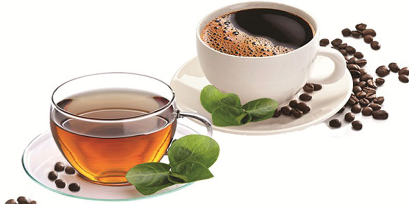 Những người uống trà sẽ giảm nguy cơ mắc các bệnh về tim mạch lên đến 29%, còn những người có thói quen uống cà phê lại không gặp sự thay đổi nào trong vấn đề liên quan tới tim mạch.