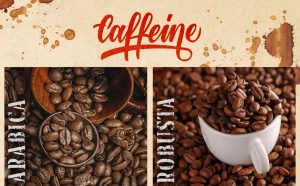 Bạn có biết: Arabica & Robusta