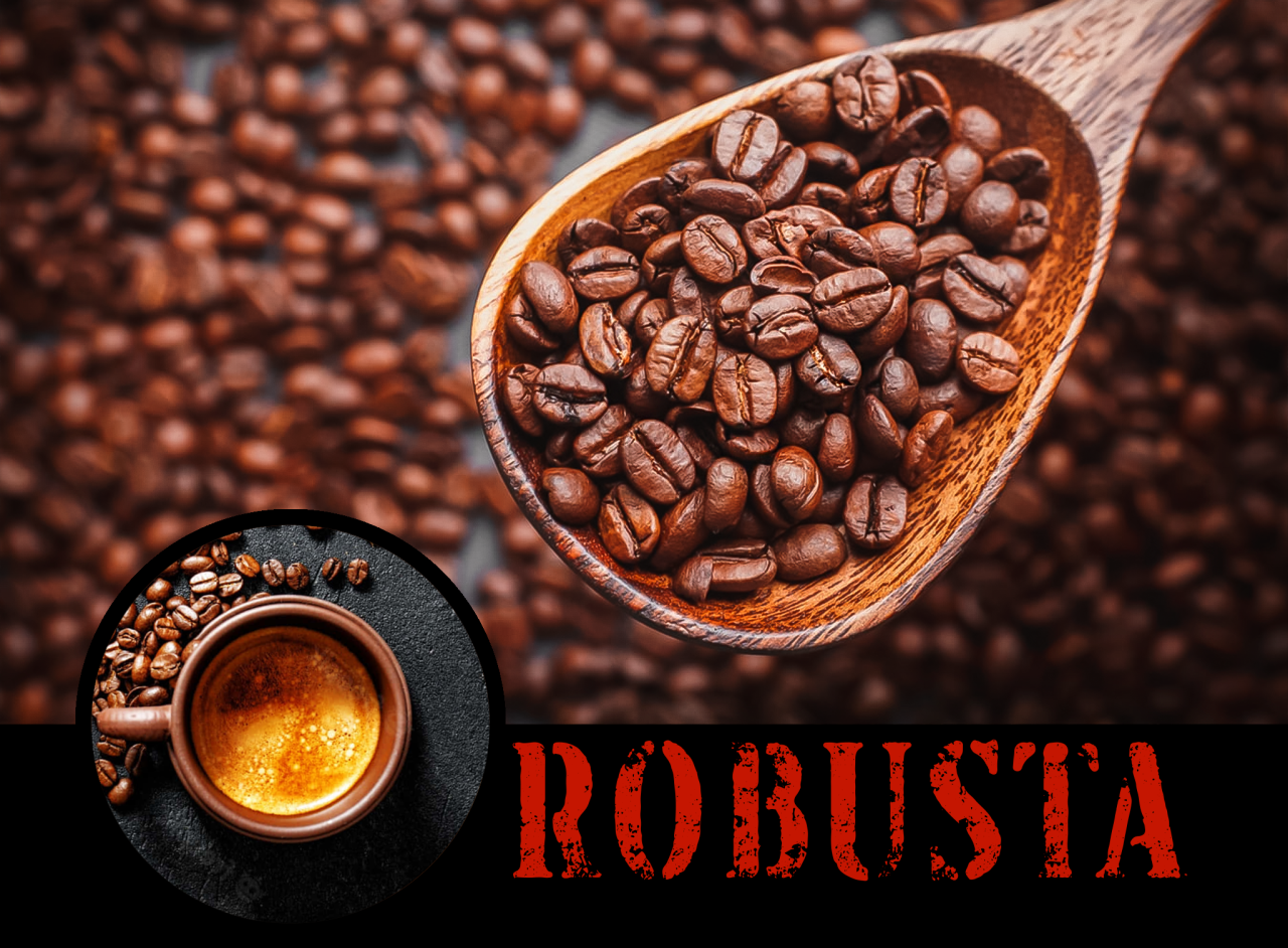 coffee_robus_1.png