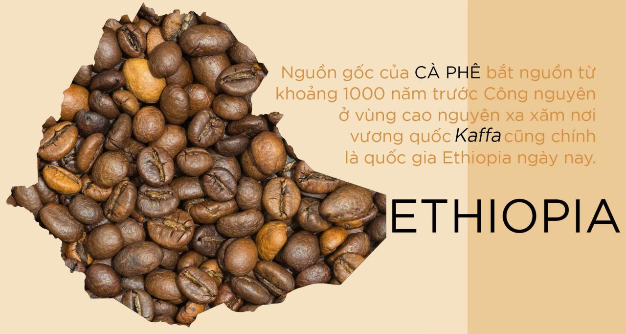 Arabica-vs-Robusta_Ethiopia.jpg