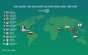 Cà phê sâm ngọc linh